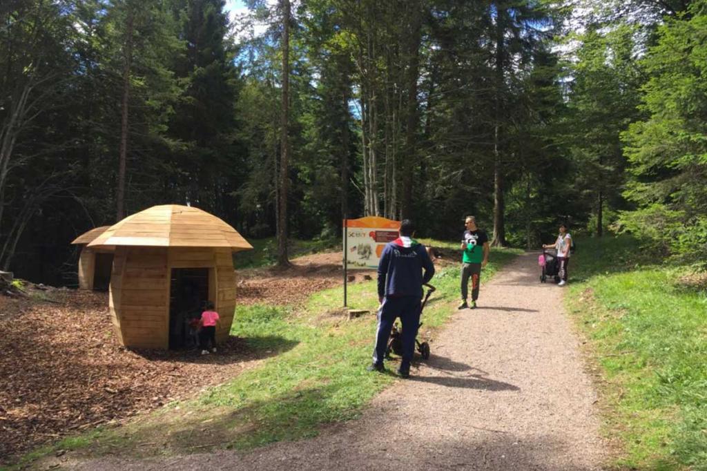 sentiero-didattico-sciury vacanza-per-bambini-in-montagna Hotel-Stella-Alpina-Andalo-Trentino1