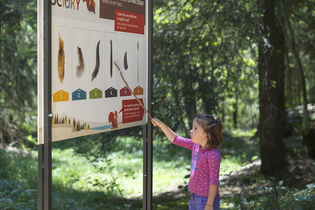 sentiero-didattico-sciury vacanza-per-bambini-in-montagna Hotel-Stella-Alpina-Andalo-Trentino5